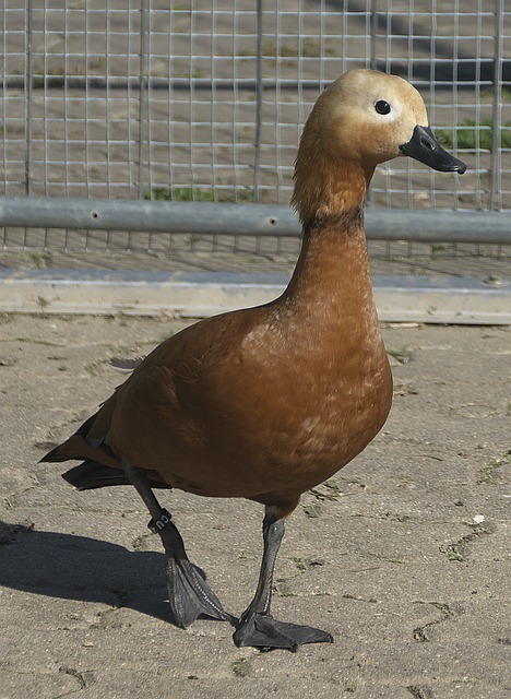更是与伙伴