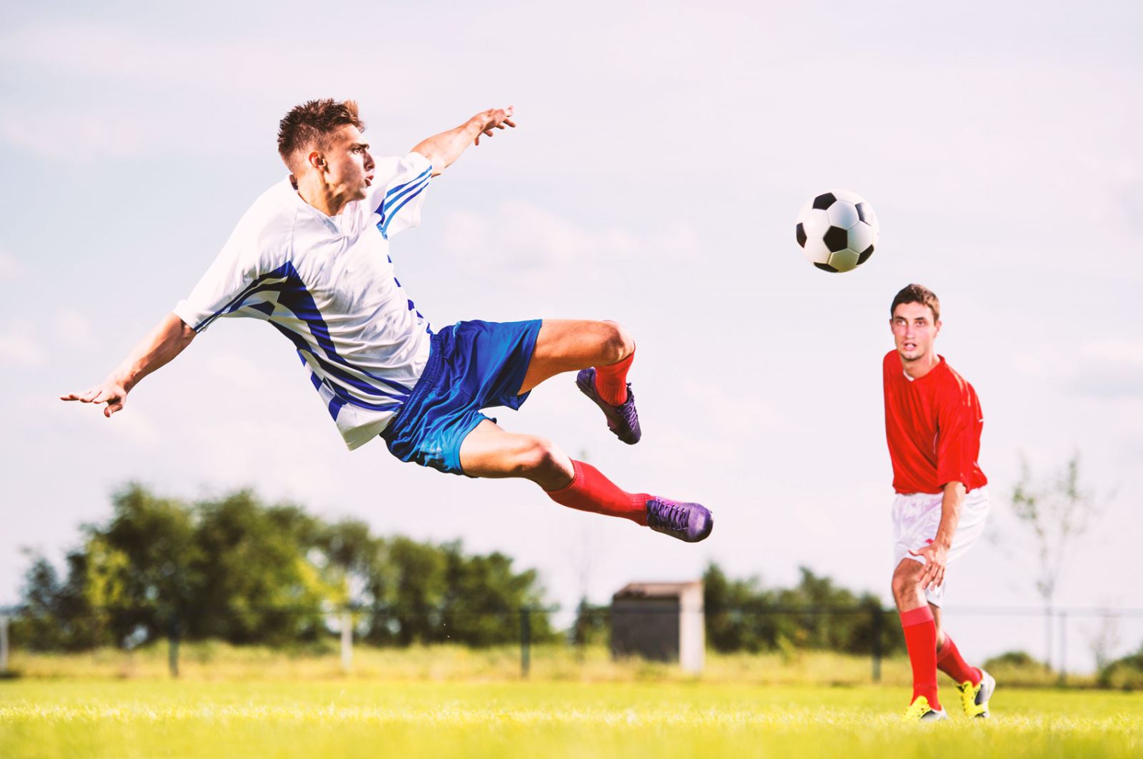 出了出色的 出了出色的