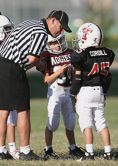 再一次引起 再一次引起