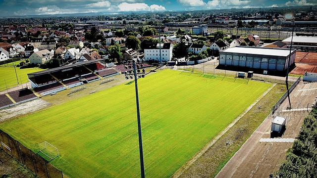 疑会对年轻 疑会对年轻