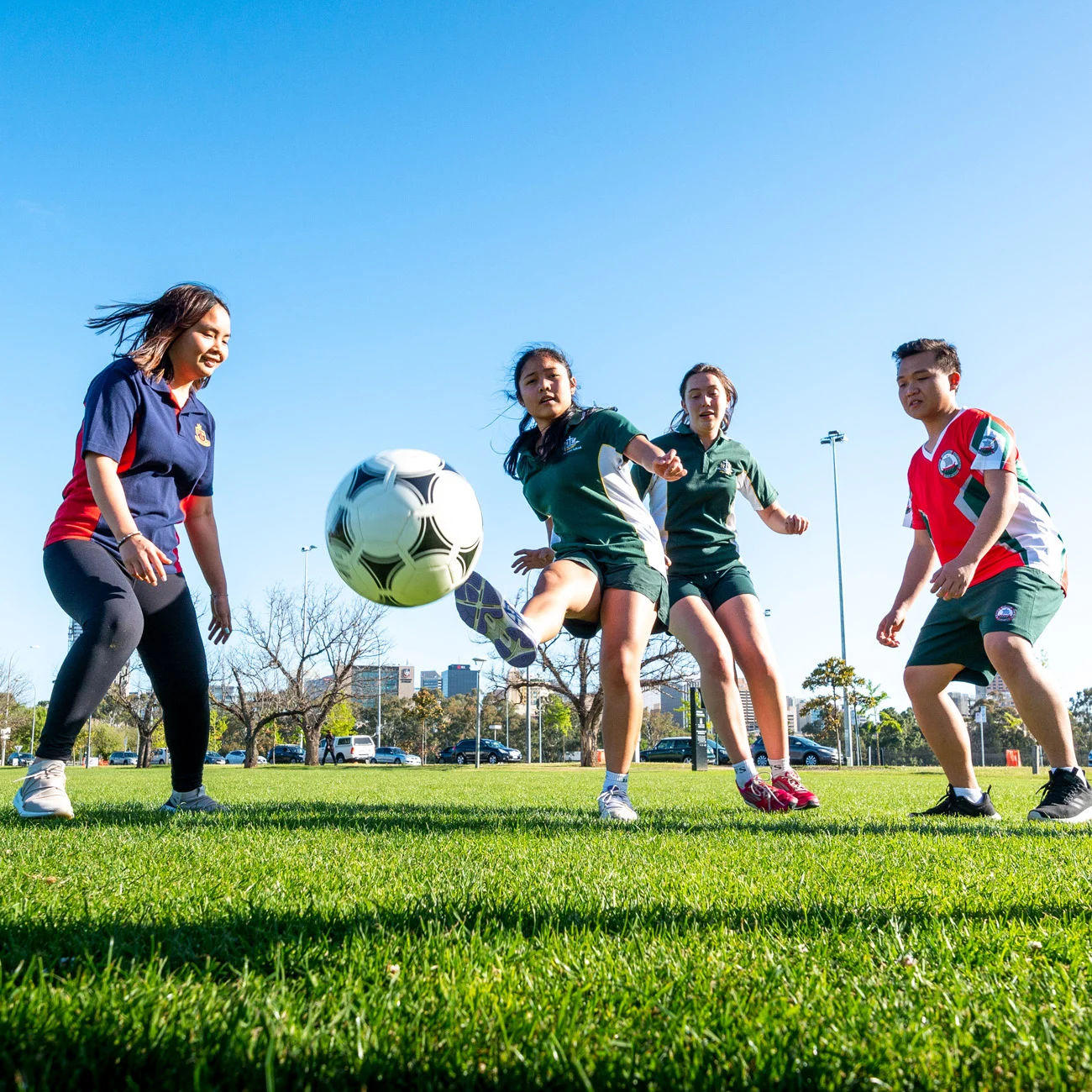 结构进行反 结构进行反