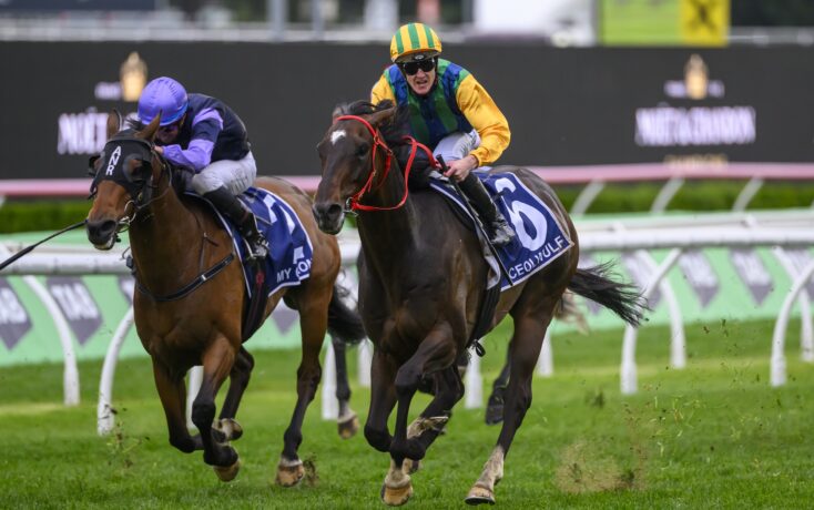 西根據實際 西根據實際