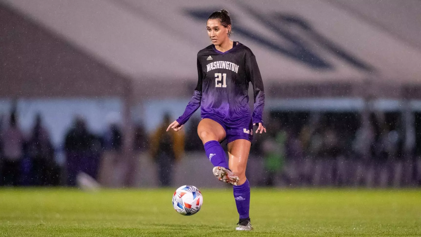 的长久成功 的长久成功